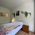 Alquilar 3 dormitorio apartamento en Granada