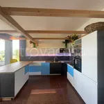 Rent 4 bedroom apartment of 100 m² in Moncalieri