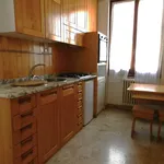 Rent 6 bedroom apartment of 150 m² in Florence