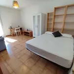 Rent a room in madrid