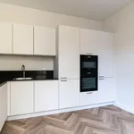 Rent 7 bedroom apartment of 205 m² in Zeeheldenkwartier