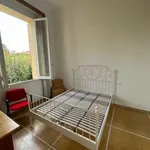 Rent 4 bedroom apartment of 140 m² in Bologna