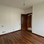 Affitto 3 camera casa di 354 m² in san daniele del friuli