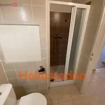 Rent 2 bedroom apartment of 41 m² in Havířov