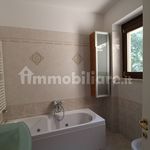 Rent 3 bedroom apartment of 100 m² in Viterbo