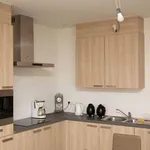 Rent 1 bedroom apartment in Puurs