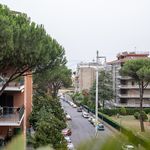 Rent 1 bedroom apartment of 148 m² in ROMA