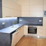 Rent 1 bedroom apartment of 48 m² in Brno