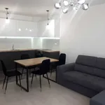 Rent 2 bedroom apartment of 65 m² in Каменица 1