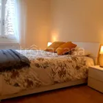 Rent 3 bedroom apartment of 75 m² in Firenze