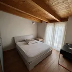 Rent 2 bedroom apartment of 120 m² in milan