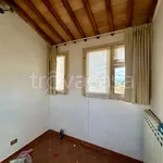 Affitto 5 camera appartamento di 118 m² in Siena