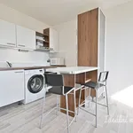 Rent 1 bedroom apartment of 33 m² in Brno