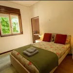 Rent a room in São João da Madeira