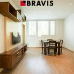 Rent 3 bedroom apartment of 56 m² in Brno