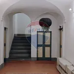 Rent 2 bedroom apartment of 55 m² in Foligno