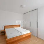 Rent 2 bedroom apartment in Capital City of Prague