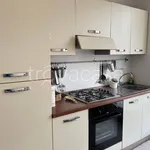 Rent 2 bedroom apartment of 50 m² in Milano