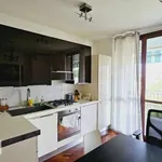 Rent 2 bedroom apartment of 50 m² in Milan