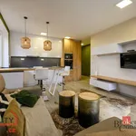 Rent 2 bedroom apartment of 68 m² in Pilsen