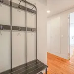 Rent 1 bedroom apartment in lisbon