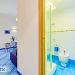 Bilocale arredato con terrazzo Barano d'Ischia