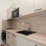 Rent 1 bedroom apartment of 32 m² in Praha 4 - Chodov