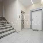 Affitto 1 camera appartamento di 65 m² in Roma