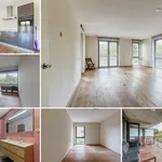 Huur 4 slaapkamer appartement van 110 m² in Duindorp