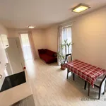 Rent 1 bedroom apartment of 25 m² in Brno