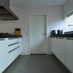 Rent 5 bedroom house of 162 m² in Eindhoven