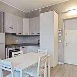 Rent 1 bedroom apartment in Milan