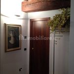 Rent 1 bedroom apartment of 35 m² in Parma