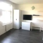 Rent 1 bedroom apartment of 22 m² in Prague