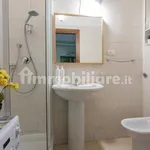 Rent 1 bedroom apartment of 39 m² in Turin