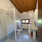 Rent 2 bedroom apartment of 54 m² in Casalmaggiore