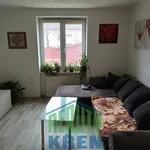 Rent 2 bedroom apartment of 52 m² in Roztoky