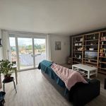 Rent 3 bedroom apartment in Toulouse