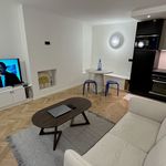 Rent 1 bedroom apartment of 390 m² in Paris