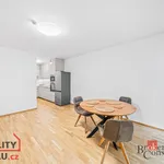 Rent 2 bedroom apartment of 70 m² in Běloky