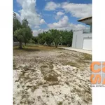 Ενοικίαση 5 υπνοδωμάτιο σπίτι από 225 m² σε Kalyvia Thorikou Municipal Unit