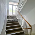 Rent 2 bedroom apartment of 75 m² in Prague