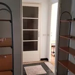 Rent 1 bedroom apartment of 55 m² in milano