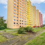 Pronajměte si 2 ložnic/e byt o rozloze 42 m² v Prague