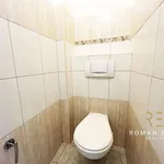 Pronajměte si 2 ložnic/e byt o rozloze 49 m² v Prague