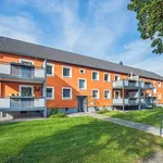 Miete 2 Schlafzimmer wohnung von 44 m² in Bochum