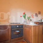 Rent 2 bedroom apartment of 50 m² in Castel-di-sangro