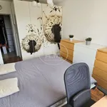 Rent 2 bedroom apartment of 54 m² in Wrocław