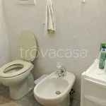 Rent 2 bedroom apartment of 50 m² in Novara