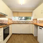 Semi-detached house to rent in Larchwood Gardens, Pilgrims Hatch CM15